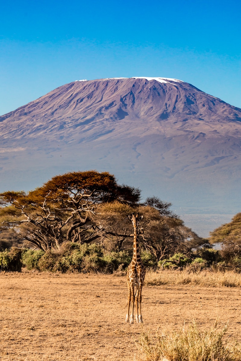ascension Kilimandjaro